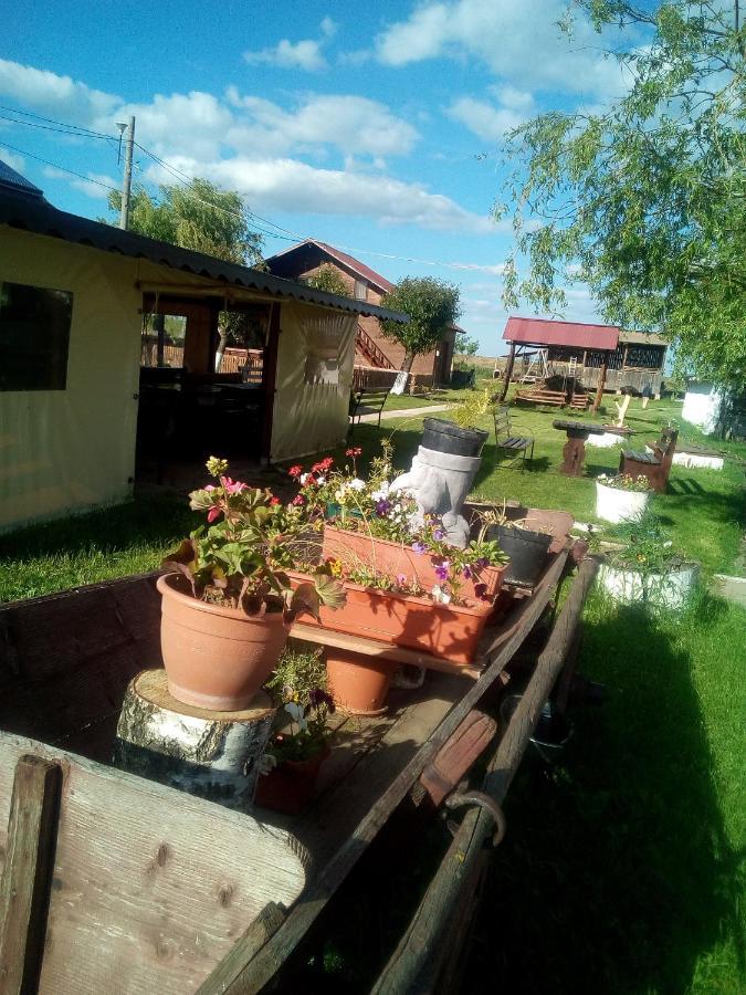 Pensiunea ,,La Struti" Тирґу-Нямц Екстер'єр фото